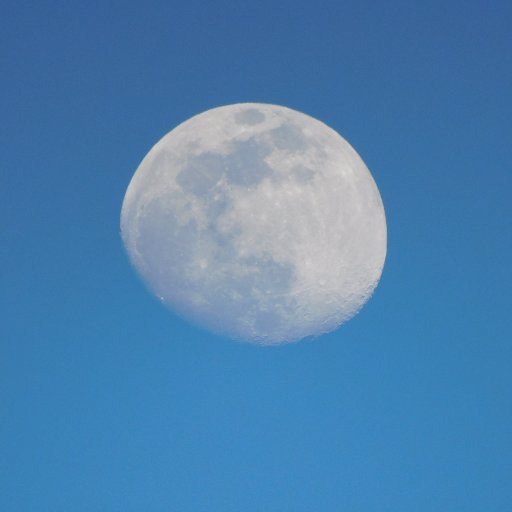DELTANOVE's profile photo