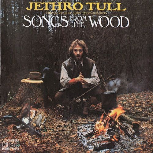 Songs From The Wood